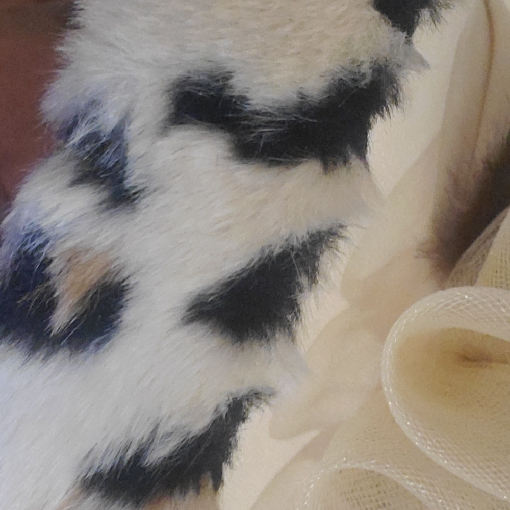 Leopard hat - Picture 4 of 5